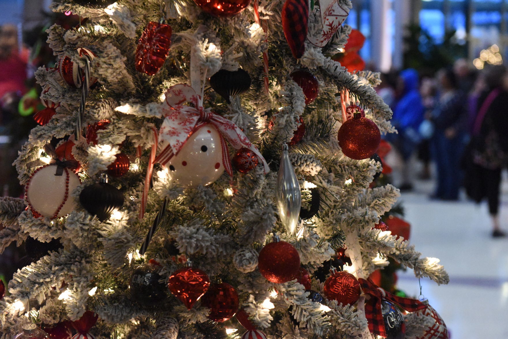 Decorating the Trees for a Cause